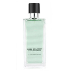 Аромат Angel Schlesser Agua de Vetiver Туалетная вода