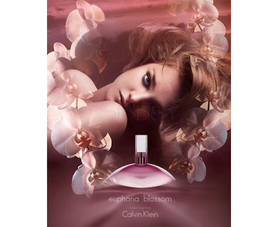 Купить недорого Аромат Calvin Klein Euphoria Blossom Туалетная вода