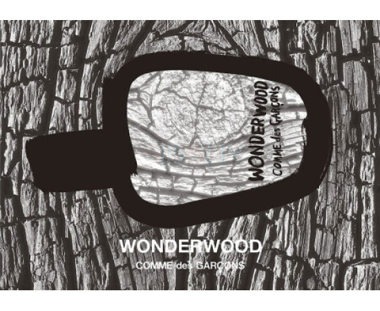 Купить недорого Аромат Comme des Garçons Parfums Wonderwood Парфюмерная вода