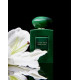 Купить недорого Аромат Giorgio Armani Vert Malachite Парфюмерная вода