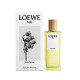 Купить недорого Аромат Loewe Aire Fantasía Туалетная вода