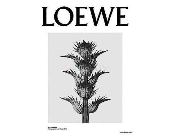Купить недорого Аромат Loewe Loewe 001 Man Парфюмерная вода