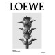 Купить недорого Аромат Loewe Loewe 001 Man Парфюмерная вода