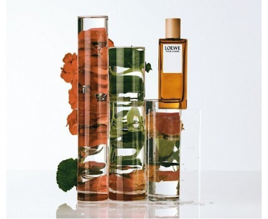 Купить недорого Аромат Loewe Loewe Pour Homme Туалетная вода