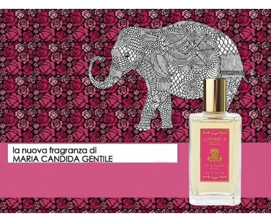 Купить недорого Аромат Maria Candida Gentile Elephant & Roses Парфюмерная вода
