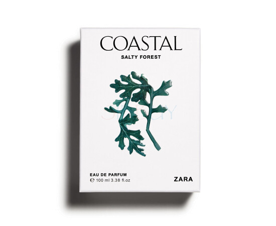 Купить недорого Аромат Zara Coastal Salty Forest Парфюмерная вода