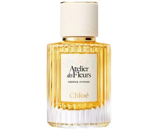 Купить Аромат Chloé Cedrus Intense Парфюмерная вода
