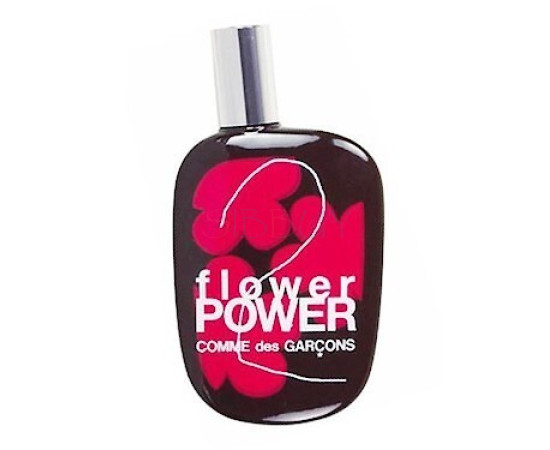 Купить Аромат Comme des Garçons Parfums 2 Flower Power Парфюмерная вода