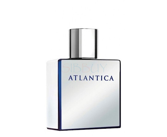 Купить Аромат Dilis Parfum Atlantica Mercury Туалетная вода