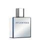 Купить Аромат Dilis Parfum Atlantica Mercury Туалетная вода