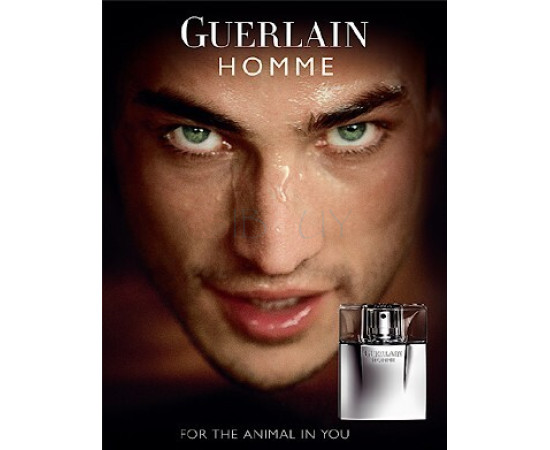 Купить Аромат Guerlain Guerlain Homme Туалетная вода