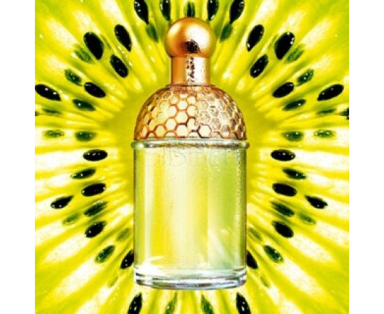 Купить Аромат Guerlain Aqua Allegoria Tutti Kiwi Туалетная вода