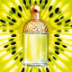 Купить Аромат Guerlain Aqua Allegoria Tutti Kiwi Туалетная вода
