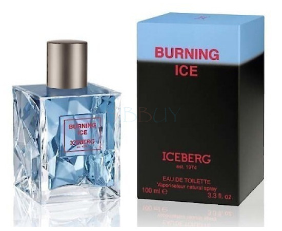 Купить Аромат Iceberg Burning Ice Туалетная вода