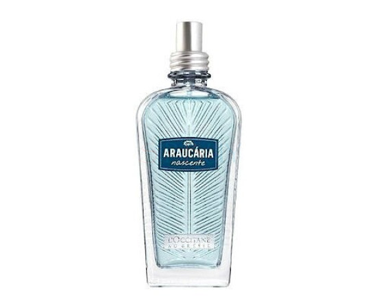 Купить Аромат L`Occitane en Provence Araucária Nascente Одеколон