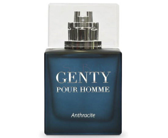 Купить Аромат Parfums Genty Genty Pour Homme Anthracite Туалетная вода