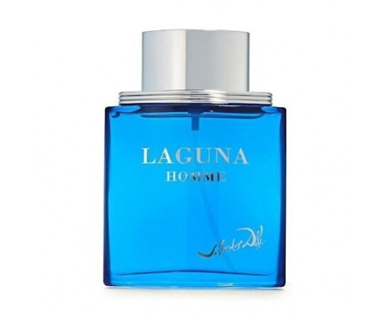 Купить Аромат Salvador Dali Laguna Homme Туалетная вода