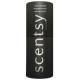 Купить Аромат Scentsy Zeppelin Твёрдые духи