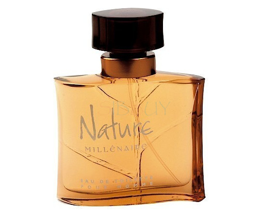 Купить Аромат Yves Rocher Nature Millenaire pour Homme Туалетная вода