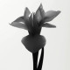 Купить Аромат Dior Bois d'Argent 2022 Парфюмерная вода