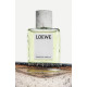 Купить Аромат Loewe Roasted Vanilla Парфюмерная вода