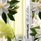 Купить Аромат Montblanc Neroli Letters Парфюмерная вода