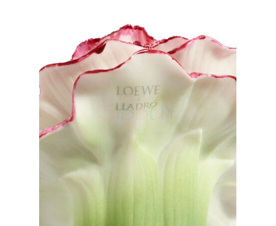 Купить Аромат Loewe Earth x Lladró Парфюмерная вода