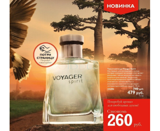 Купить Аромат Oriflame Voyager Spirit Туалетная вода