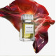 Купить Аромат Mugler Oriental Extreme Парфюмерная вода