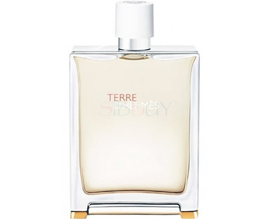 Купить недорого Аромат Hermès Terre dHermes Eau Tres Fraiche Туалетная вода