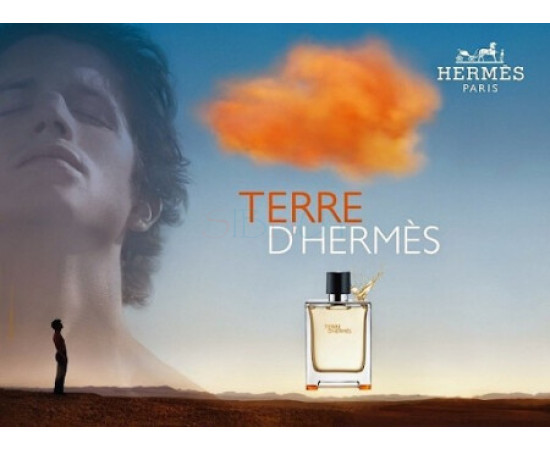 Купить недорого Аромат Hermès Terre dHermes Туалетная вода
