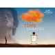 Купить недорого Аромат Hermès Terre dHermes Туалетная вода