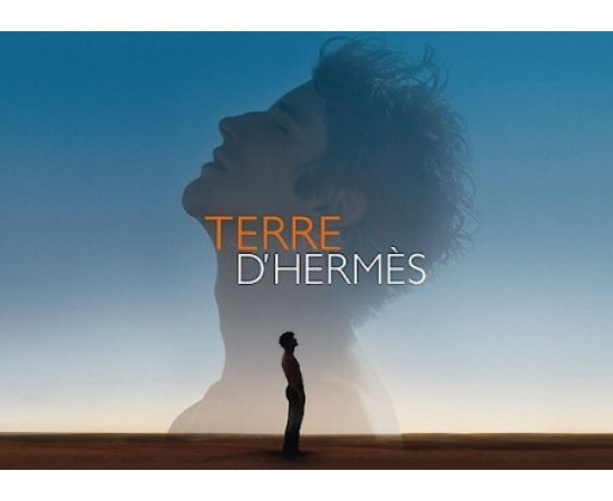 Купить недорого Аромат Hermès Terre dHermes Туалетная вода