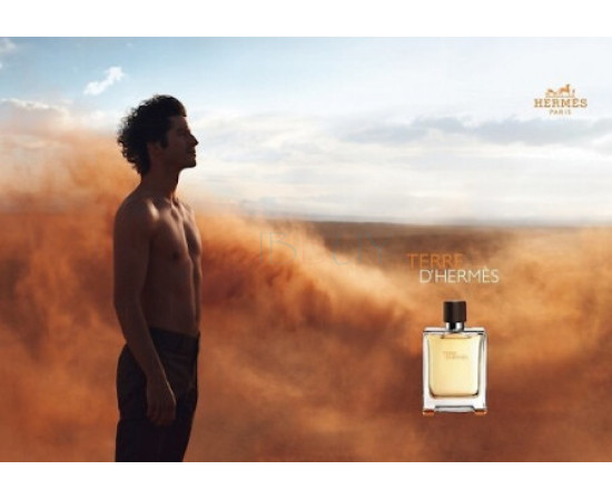 Купить недорого Аромат Hermès Terre dHermes Туалетная вода