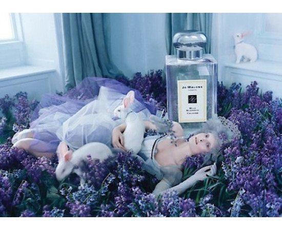 Купить недорого Аромат Jo Malone Wild Bluebell Одеколон