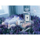 Купить недорого Аромат Jo Malone Wild Bluebell Одеколон