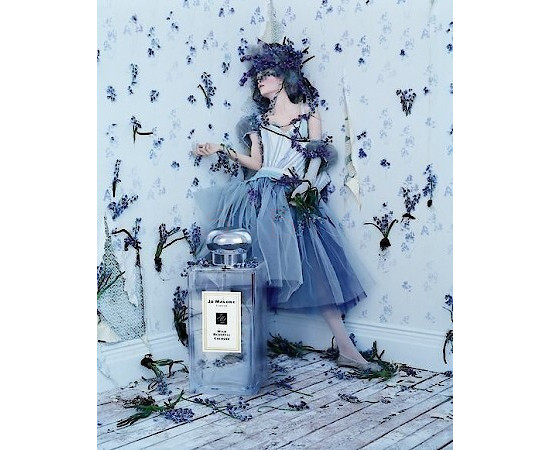 Купить недорого Аромат Jo Malone Wild Bluebell Одеколон