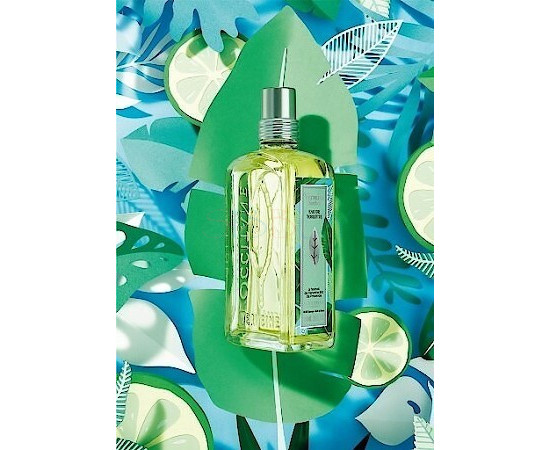 Купить недорого Аромат L`Occitane en Provence Verveine Sorbet Туалетная вода