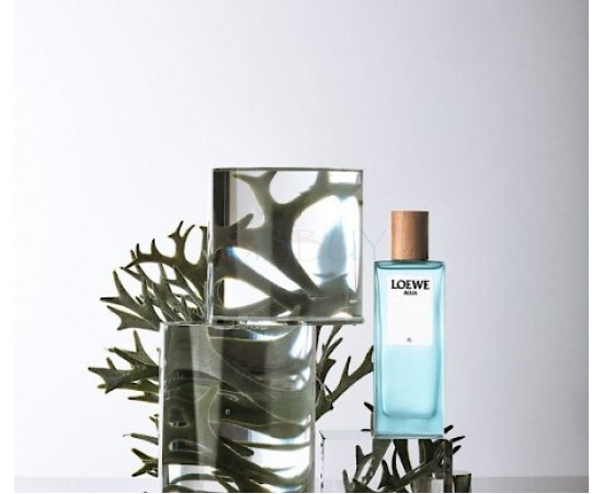 Купить недорого Аромат Loewe Agua de Loewe El Туалетная вода