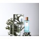 Купить недорого Аромат Loewe Agua de Loewe El Туалетная вода