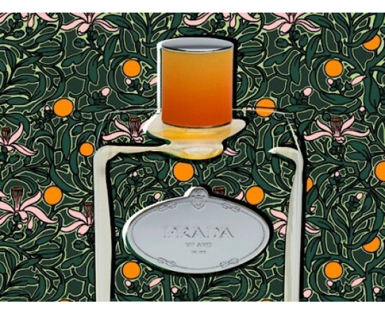 Купить недорого Аромат Prada Infusion de Fleur dOranger Парфюмерная вода