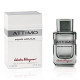 Купить недорого Аромат Salvatore Ferragamo Attimo Pour Homme Туалетная вода