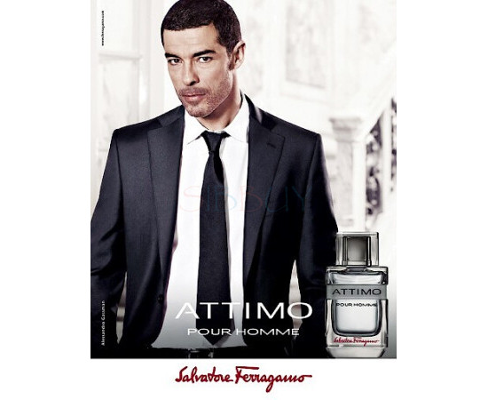 Купить недорого Аромат Salvatore Ferragamo Attimo Pour Homme Туалетная вода
