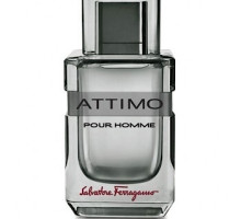Аромат Salvatore Ferragamo Attimo Pour Homme Туалетная вода