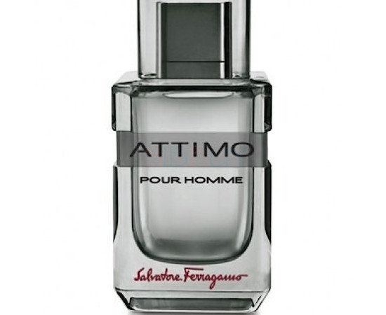 Купить недорого Аромат Salvatore Ferragamo Attimo Pour Homme Туалетная вода