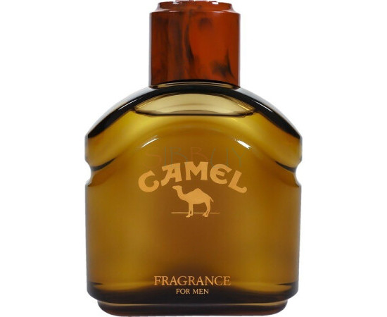 Купить Аромат Camel Camel Fragrance for Men Ароматная дымка