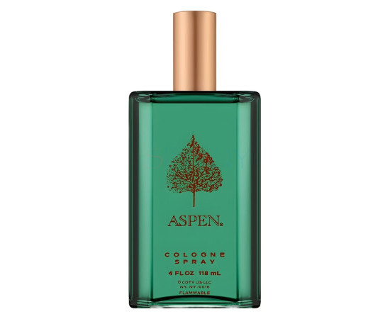 Купить Аромат Coty Aspen For Men Одеколон