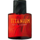 Купить Аромат Gemey H pour Homme Titanium Туалетная вода