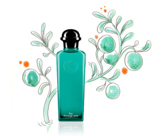 Купить Аромат Hermès Eau d'Orange Verte Одеколон