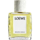Купить Аромат Loewe Roasted Vanilla Парфюмерная вода